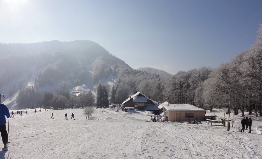 team-d Bambi 2015 am tischen
